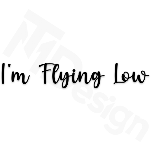 I'm Flying Low.png